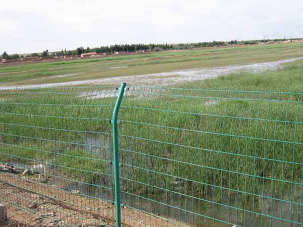 雙邊絲護欄網 - 安平縣全昊金屬(shǔ)絲(sī)網制品有限公司圖片3